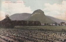 1911 South Deerfield MA, Mountain Sugar Loaf, Massachusetts Vintage Postcard picture