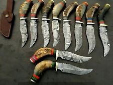 LOT OF 10 10 INCH HANDMADE DAMASCUS STEEL SKINNER KNIFE RAMS HORN W/SHEATH a3 picture