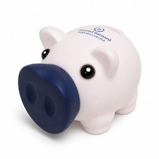 Barnard College Beyond Barnard Piggy Bank Promotional College Alumni Collectible picture