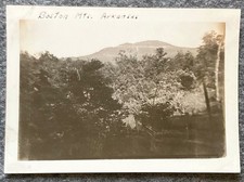 Vtg Photo 1930s -1940s Boston Mountains Ozarks Arkansas Trees View picture