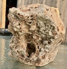 30# Crystal Encrusted Fossil Reef Rock ~Beautiful Druzy Chalcedony~ Unique Decor picture