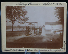 Antique 4x5 Cabinet Photo of 1895 Family on Farm with Horse Carriage Buggy picture