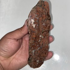 Unique Michigan Agate Lapidary Rough Stone 11.77 Oz picture