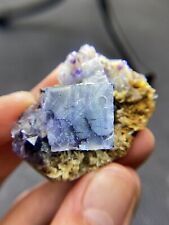 TOP 50g natural purple core cubic blue fluorite and crystal mineral specimens picture