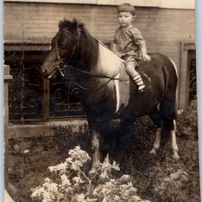 c1930s Cute Boy Riding Pony Snapshot Photo Vintage Child Horse Portrait Kid Pet picture