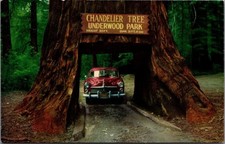 Chandelier Drive-Thru Tree Underwood Park CA Vintage Postcard picture