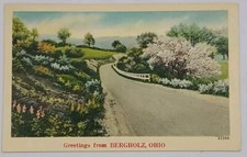 1930-45 Vintage Postcard: Greetings from Bergholz, OH - 43356 picture