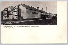 K28/ Newark Valley New York Postcard c1910 Borden Milk Station Railroad 490 picture