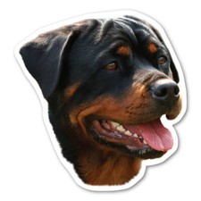 Rottweiler Magnet picture
