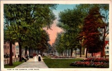 Vintage Postcard View in the Common Park Lynn MA Massachusetts c.1915-1930  M612 picture
