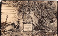 RPPC California Sierra Madre CA Giant Wisteria Planted 1893 Photo Postcard 9289 picture