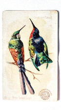 1898 J2 #10 Crimson Topaz & Blue Tailed Sylph, New Series Beautiful Birds, Arm & picture