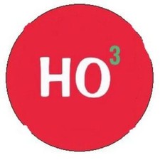 1 HO3 Ho Ho Ho Fun Christmas Holiday December 25th Button pin 2 1/4