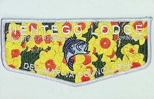 Nentego Lodge 20 Del-Mar-Va Council DE Spring 2013 Flap WHT Bdr picture