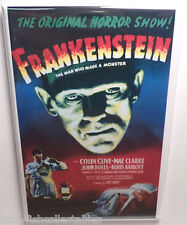 Frankenstein Movie Poster 2