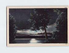 Postcard Moonlight Scene Galilee Farms of Elmer Salem County New Jersey USA picture