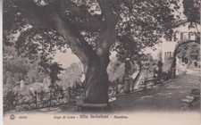 Italy. Lake Como. Villa Serbelloni. Garden. Lago. Ed. Brunner & C., Como # 13153 picture