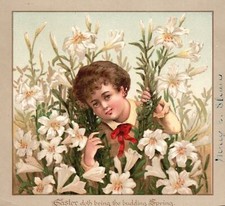 1880s-90s Young Boy among White Flowers Easter Budding Spring Trade Card picture