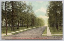 Postcard Hillside Road Groves of Beautiful Oaks El Mora NJ Divided Back c1911 picture