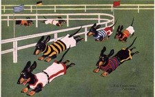 Dachshund Racing - CUSTOM MATTED Small 5 x 7 - Dog Art Print - German : NEW picture