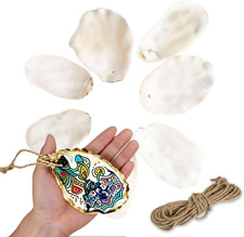 20PCS Large Oyster Shells for Crafts with Drilled Holes 4