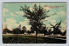 Dansville NY-New York, Scenic View Park Looking North, Antique Vintage Postcard picture