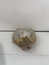 Antique German Bisque Naughty Bathing Lady Turtle Figurine Rare Victorian Read picture