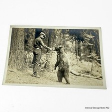 Vintage RPPC Real Photo Postcard Man Feeding Wild Bear Forest Wildlife Nature picture