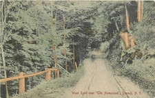 c1910 Deposit New York Wood Road Homestead Carl SL & CO Postcard 26-5048 picture