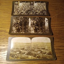 3 B/W 1903 Perfec Stereograph Stereoview Stereoscope Cards Agricultural picture