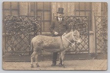 RPPC Trained Circus Donkey