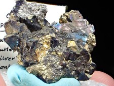 Killer Chalcocite & Pyrite pseudo Covellite Crystals Anselmo Mine Butte Montana picture