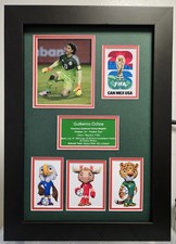FIFA 2026 Guillermo Ochoa México Collage  Framed Printed Photo  UNSIGNED. picture