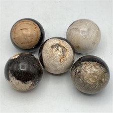 5pc Natural Petrified Wood Sphere Set Polished Fossil Stone Balls Indonesia picture
