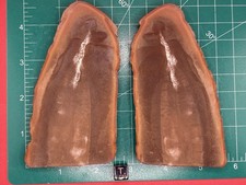 Mazon Creek- Tullimonstrum gregarium (Tully monster)-Pit 11- Braidwood, Illinois picture