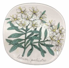 vintage Esteri Tomula  Arabia Finland ceramic Botanica wall plate ledum palustre picture