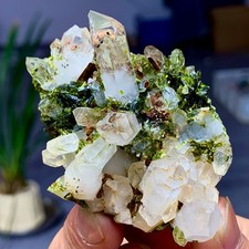 76g Natural Garden quartz cluster specimen tourmaline mineral healing SiChuan picture
