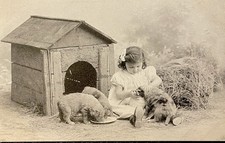 PC Antique French Post Card Child And Puppies picture