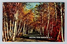 Frewsburg NY-New York, Scenic Greetings, Vintage Postcard picture