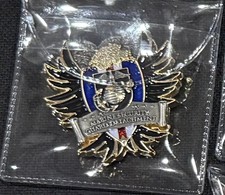Marine Security Guard Detachment MSG Challenge Coin Geneva Switzerland picture