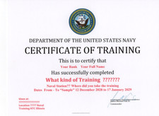 United States Navy Naval Training  Replacement Certificate picture