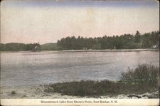 East Rindge NH Monomonack Lake Sharp's Pt 1900s-20s Vintage Postcard picture