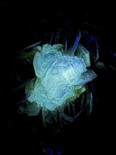388 GM Beautiful Fluorescent Fully Terminated, Transparent Fluorite Crystal picture
