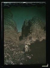 Photo:Petra Jordan 1900s Oleanders Bloom Figure Autochrome picture