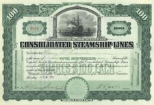 Consolidated Steamship Lines - 1907 dated Stock Certificate - Gorgeous Design -  picture
