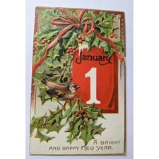 Vintage Tuck's Postcard New Years Day Birds Holly Holiday Antique 1910 Embossed picture