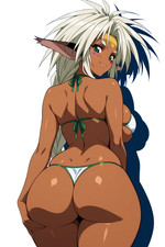 Aisha Clan Clan Outlaw Star Waifu Weatherproof Anime Sticker 6