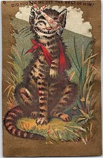 1870's Oriental Exhibition Curiosities Show Stereoscopic Views Trade Card P136 picture