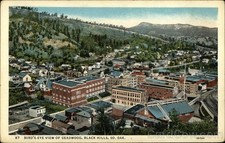Black Hills, South Dakota SD Bird's Eye View of Deadwood Antique Postcard picture