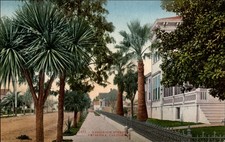 Petaluma California Residence Street ~ Edw Mitchell Publ ~ c1910 postcard picture